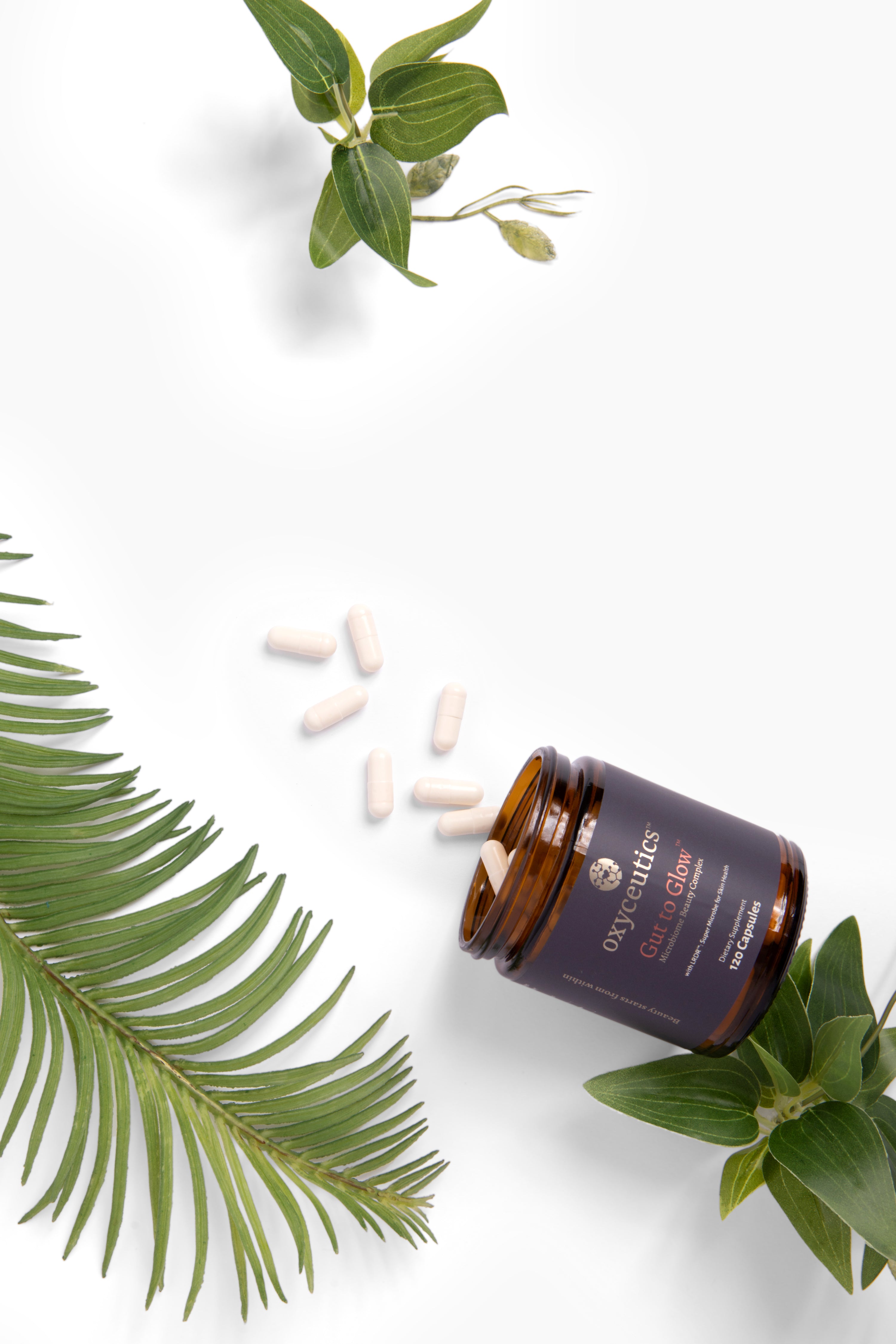 MyReuteri™ - Lactobacillus reuteri LRDR™ Probiotic | Oxiceutics