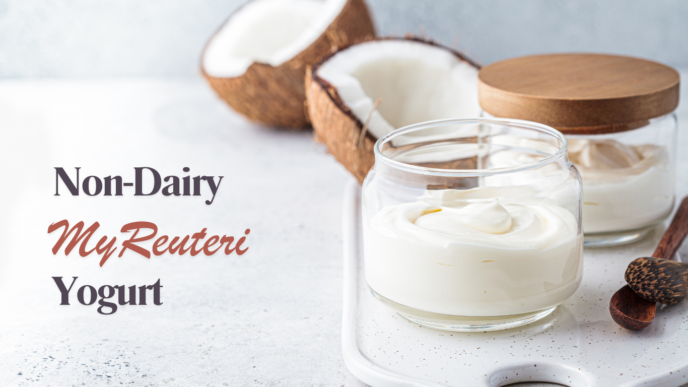 Make Non-Dairy L. reuteri yogurt using MyReuteri