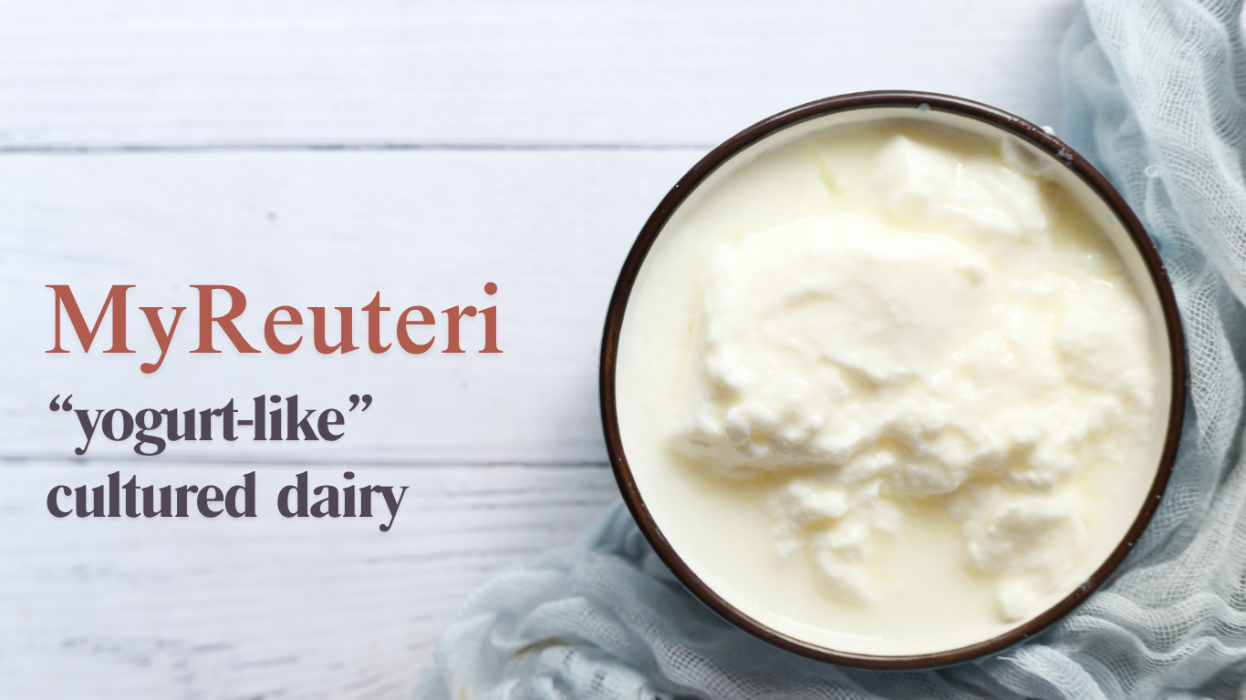Make L. reuteri yogurt-like cultured dairy using MyReuteri™