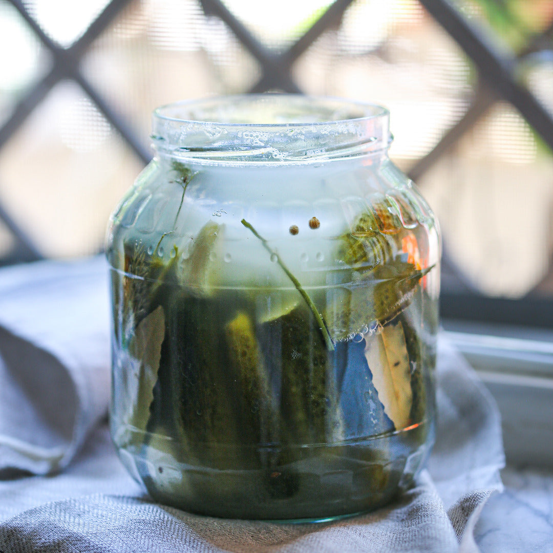 Basics of Fermentation for Skin Health