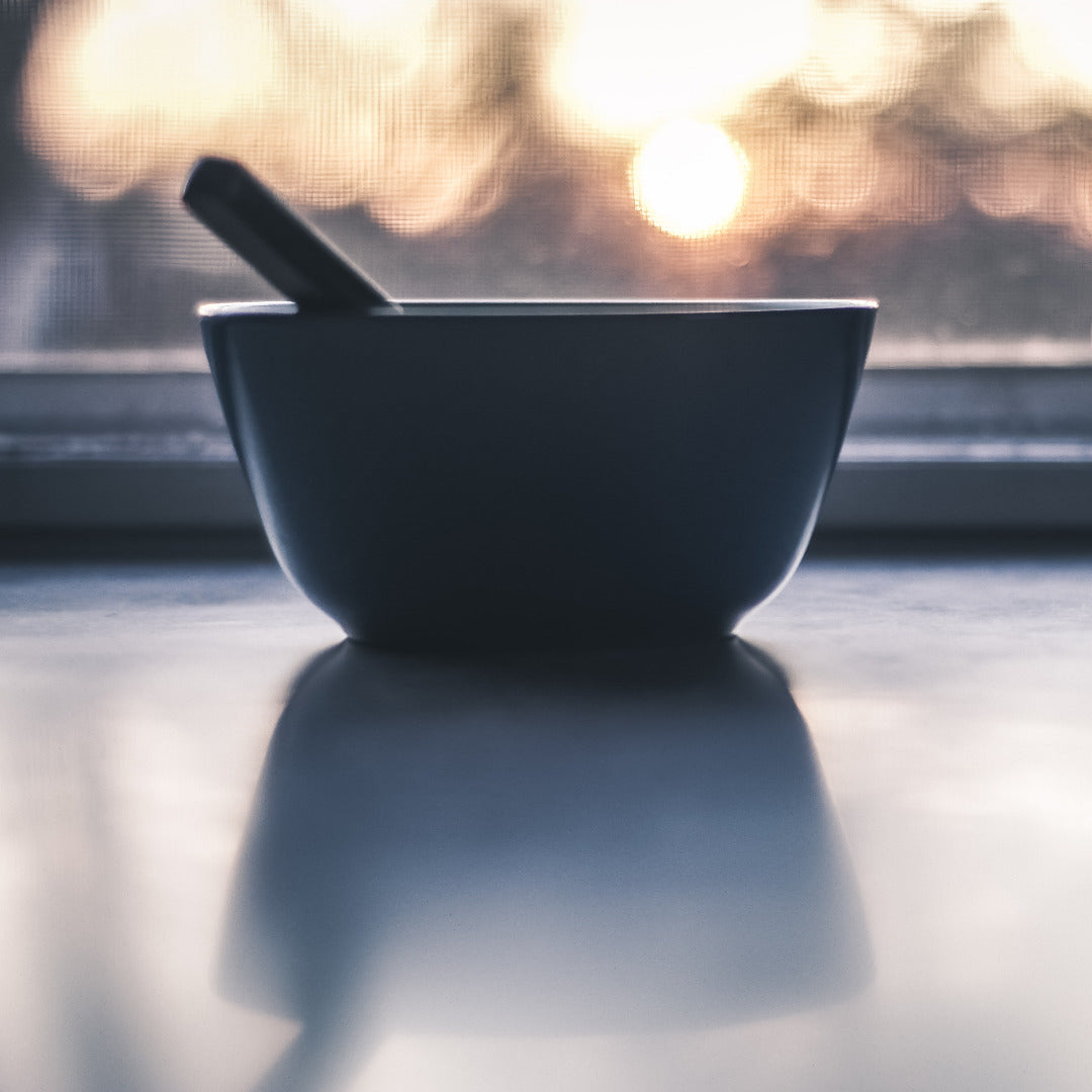 Making L. reuteri Yogurt from Gut to Glow