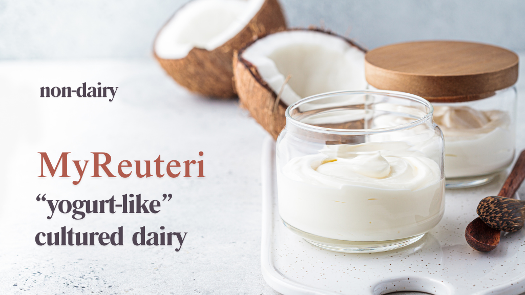 Make Non-Dairy L. reuteri yogurt-like cultured dairy using MyReuteri™
