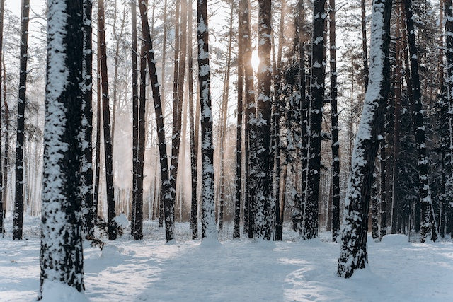 6 Tips for Maintaining Healthy, Hydrated Skin During the Winter