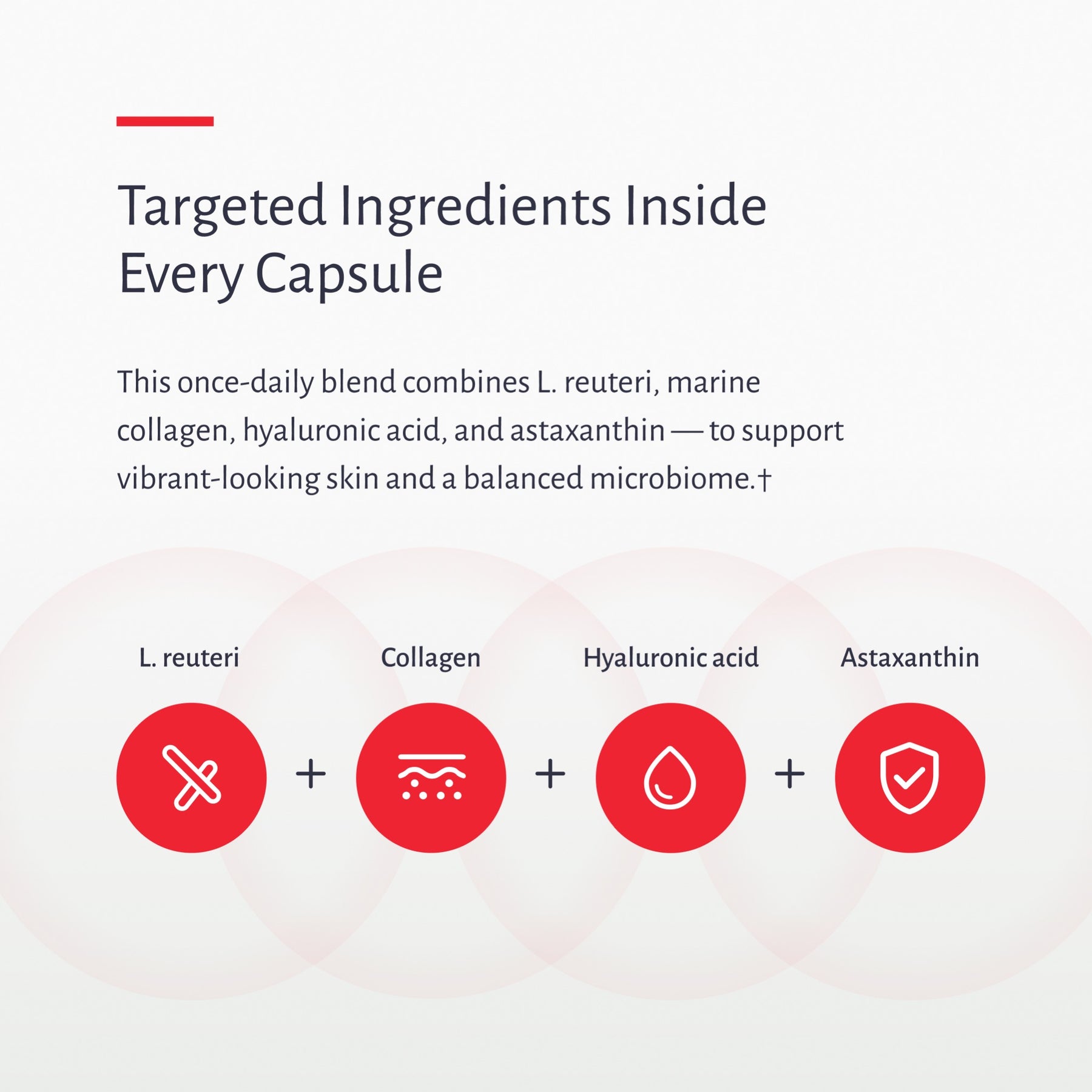 Targeted ingredients in every capsule: L. reuteri, collagen, hyaluronic acid and astaxanthin