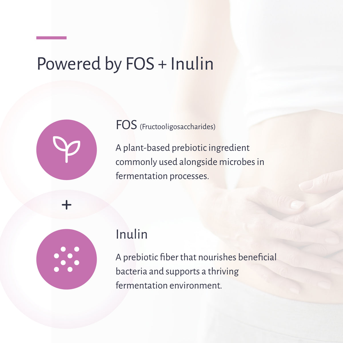 Powered by FOS and Inulin, the prebiotic fibers in MyCrispatus Starter