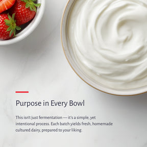 Bowl of homemade cultured dairy with strawberries